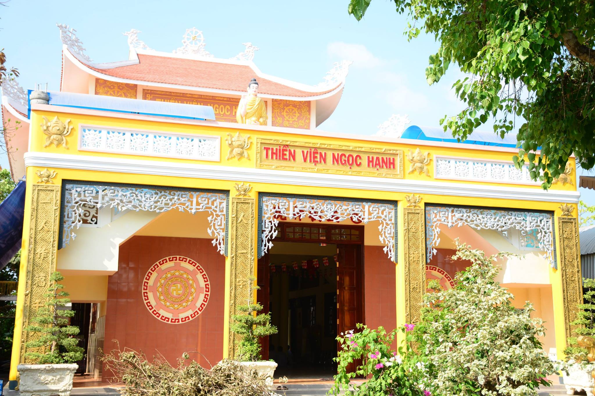bat quan trai tv ngoc hanh 10