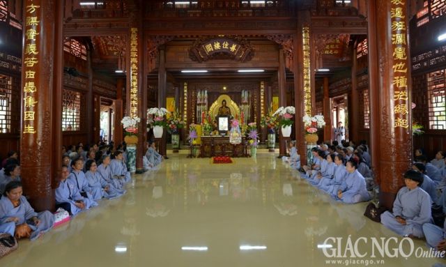 ANH BT 8