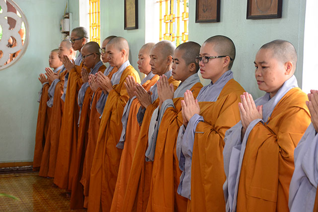 vu lan dang y 15