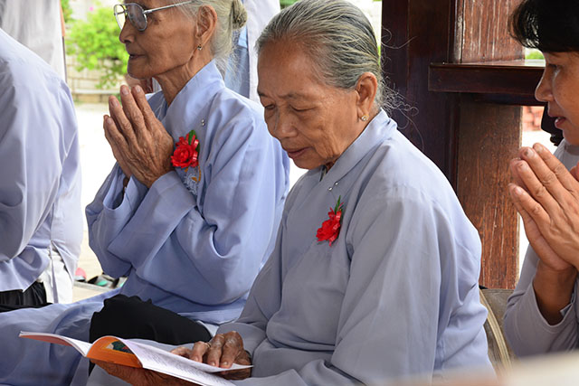 vu lan dang y 17