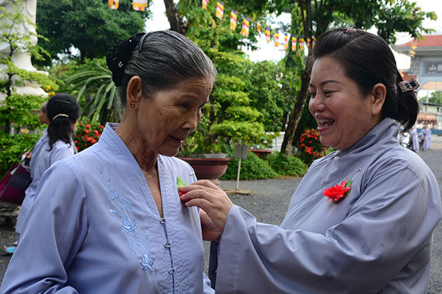 vu lan dang y 9